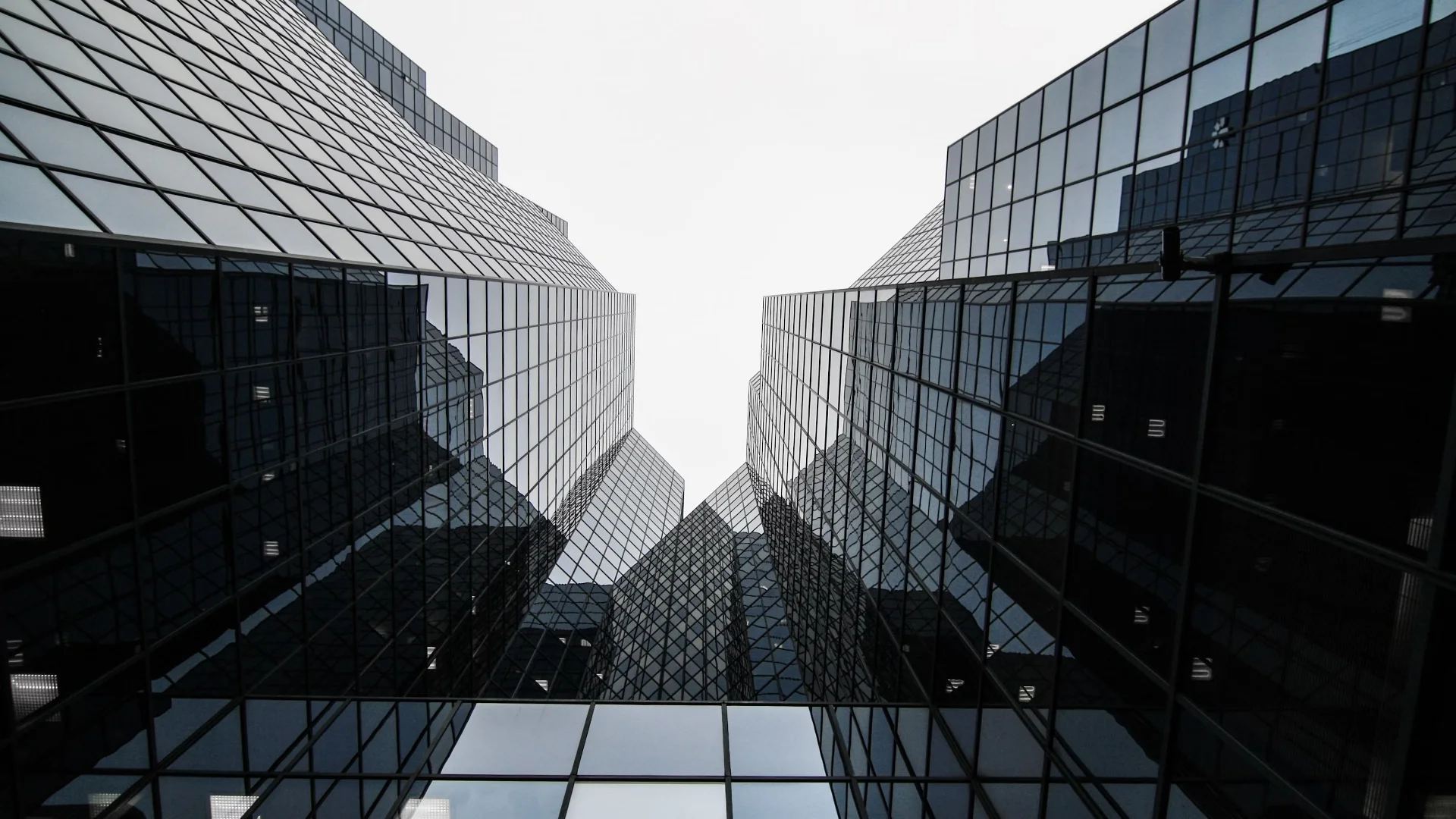 Niğde Tarım Tunagro